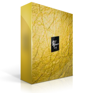 Polo Boy Shawty - Going Gold (Midi Kit)